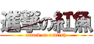 進撃の紅魚 (attack on redfish)