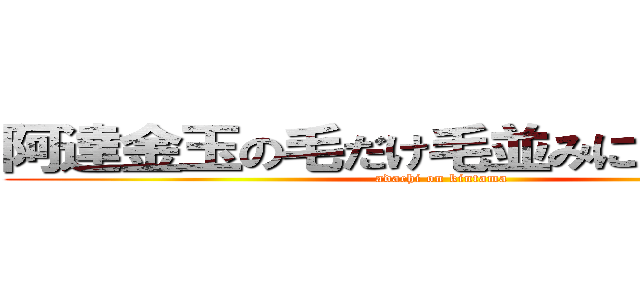 阿達金玉の毛だけ毛並みに揃えてる説 (adachi on kintama)