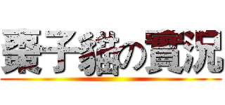 棗子貓の實況 ()