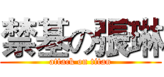 禁基の張琳 (attack on titan)