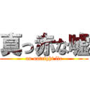 真っ赤な嘘 (an outright lie)