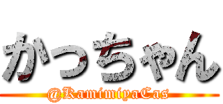 かっちゃん (@KamimiyaCas)