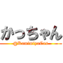 かっちゃん (@KamimiyaCas)