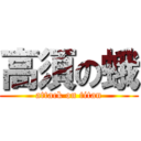 高須の蛾 (attack on titan)