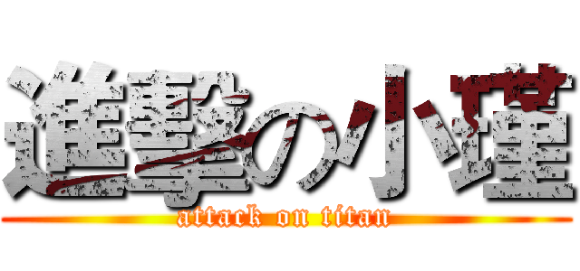 進擊の小瑾 (attack on titan)