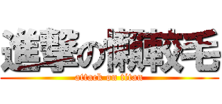 進撃の懶較毛 (attack on titan)