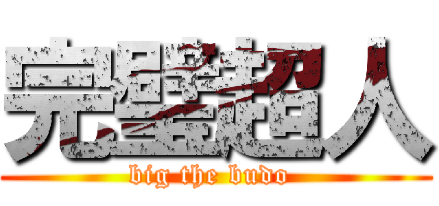 完璧超人 (big the budo )