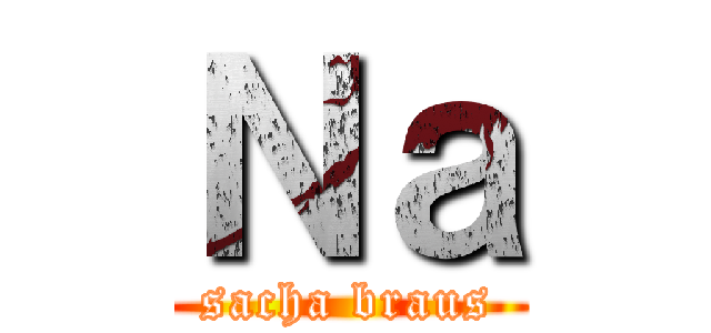 Ｎａ (sacha braus)