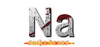 Ｎａ (sacha braus)