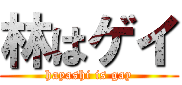 林はゲイ (hayashi is gay)