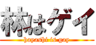 林はゲイ (hayashi is gay)