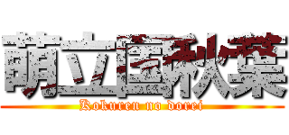 萌立国秋葉 (Kokuren no dorei)