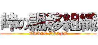 峠の飄移組織 (TOUGE DRIFT)