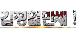 김정일만세！ ()