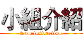 小組介紹 (team instruction)