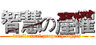 智慧の產權 (intellectual property rights)
