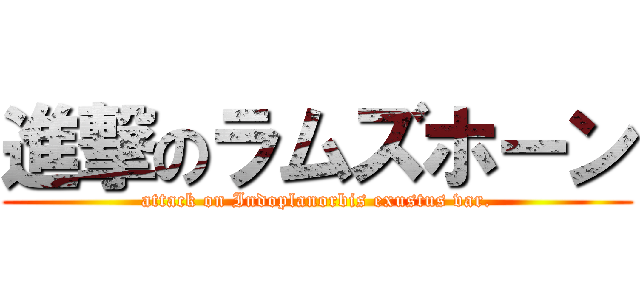 進撃のラムズホーン (attack on Indoplanorbis exustus var.)