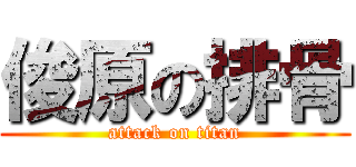 俊原の排骨 (attack on titan)