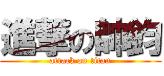 進撃の帥鈞 (attack on titan)