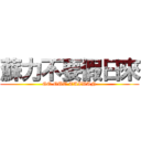 蘇力不要假日來 (GO OUT TAIWAN)