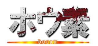 ホウ素 (boron)