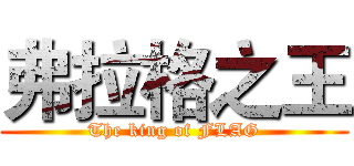 弗拉格之王 (The king of FLAG)