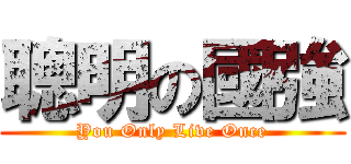 聰明の國強 (You Only Live Once)