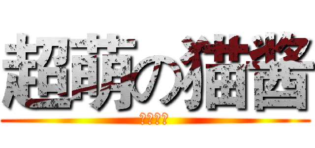 超萌の猫酱 (かわいい)