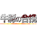 牛豚の合挽 (attack on titan)