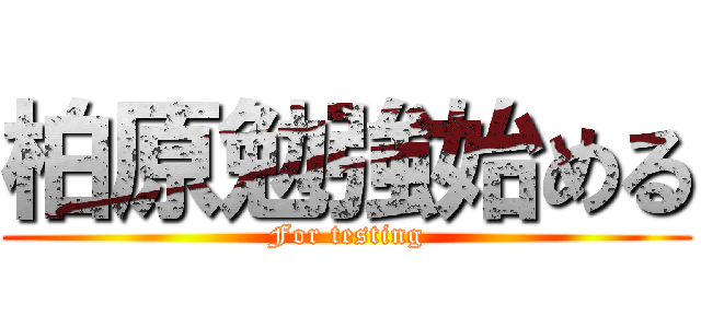 柏原勉強始める (For testing)