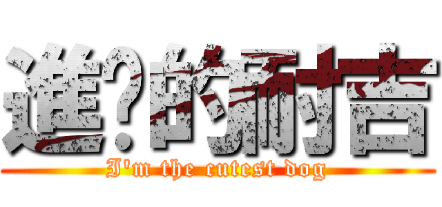 進擊的耐吉 (I\'m the cutest dog)