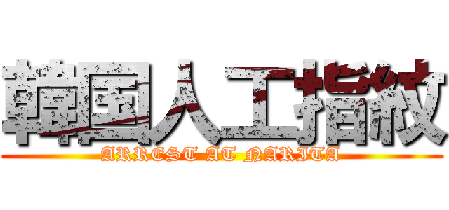 韓国人工指紋 (ARREST AT NARITA)