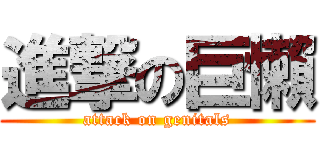 進撃の巨懶 (attack on genitals)