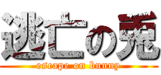逃亡の兎 (escape on bunny)