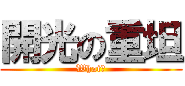 開光の重坦 (What?)