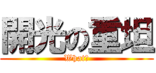 開光の重坦 (What?)