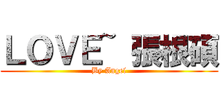 ＬＯＶＥ~ 張根碩 (By Angel)