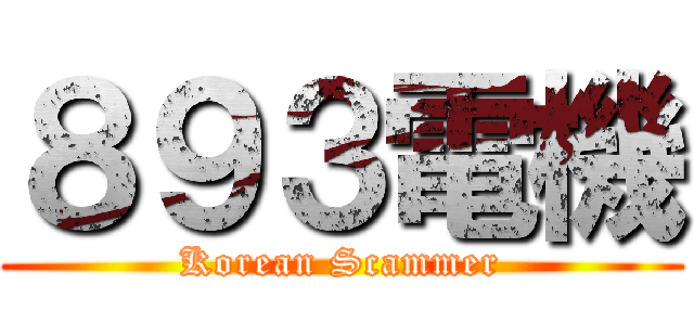 ８９３電機 (Korean Scammer)