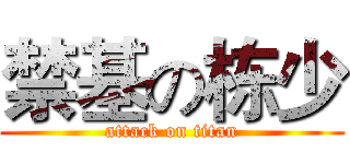 禁基の栋少 (attack on titan)