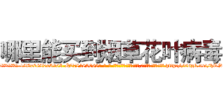 哪里能买到烟草花叶病毒 (哪里能买到烟草花叶病毒【电-186x2687x6963-Q278180069元-吉-药-业】我们做的是长期生意,靠的是老客户长期支持 http://sngk.net/hTSlyH
)
