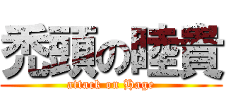 禿頭の睦貴 (attack on Hage)