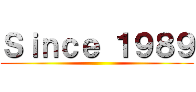 Ｓｉｎｃｅ １９８９ ()