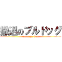 撤退のブルドッグ (Tettai No Bull)