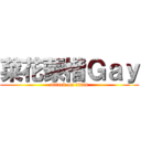 菜花蒙楷Ｇａｙ (attack on titan)
