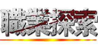 職業探索 ()
