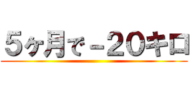 ５ヶ月で－２０キロ ()