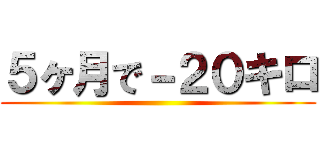 ５ヶ月で－２０キロ ()