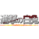 進撃の白兔 (die if they zuo)