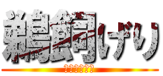 鵜飼げり (ハゲナス太郎)