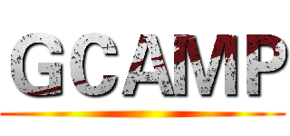 ＧＣＡＭＰ ()